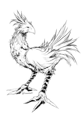 Chocobo